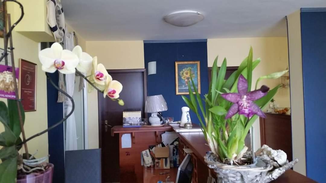 Hotel Lozite Sozopol Eksteriør billede